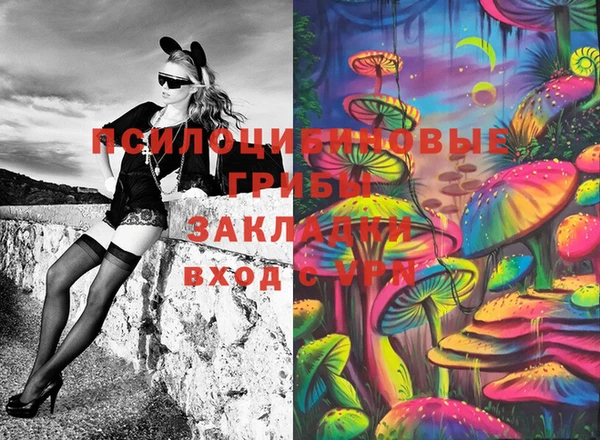 ешки Волоколамск