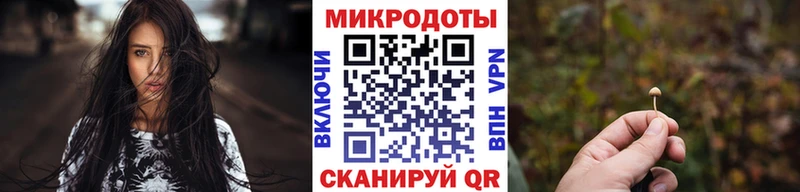 Псилоцибиновые грибы ЛСД  mega онион  Галич 